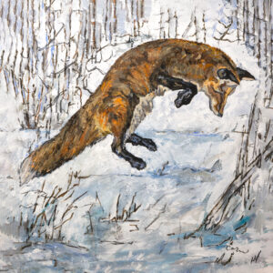 A jumping fox in the middle of winter pouncing on his next meal.